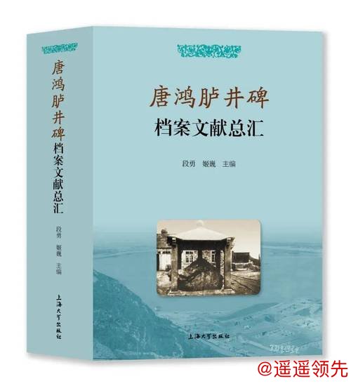 《唐鸿胪井碑档案文献总汇》发布