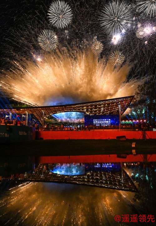 成都大运会即将闭幕，N个喜感瞬间请收藏！