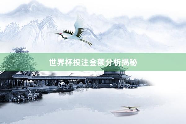 世界杯投注金额分析揭秘